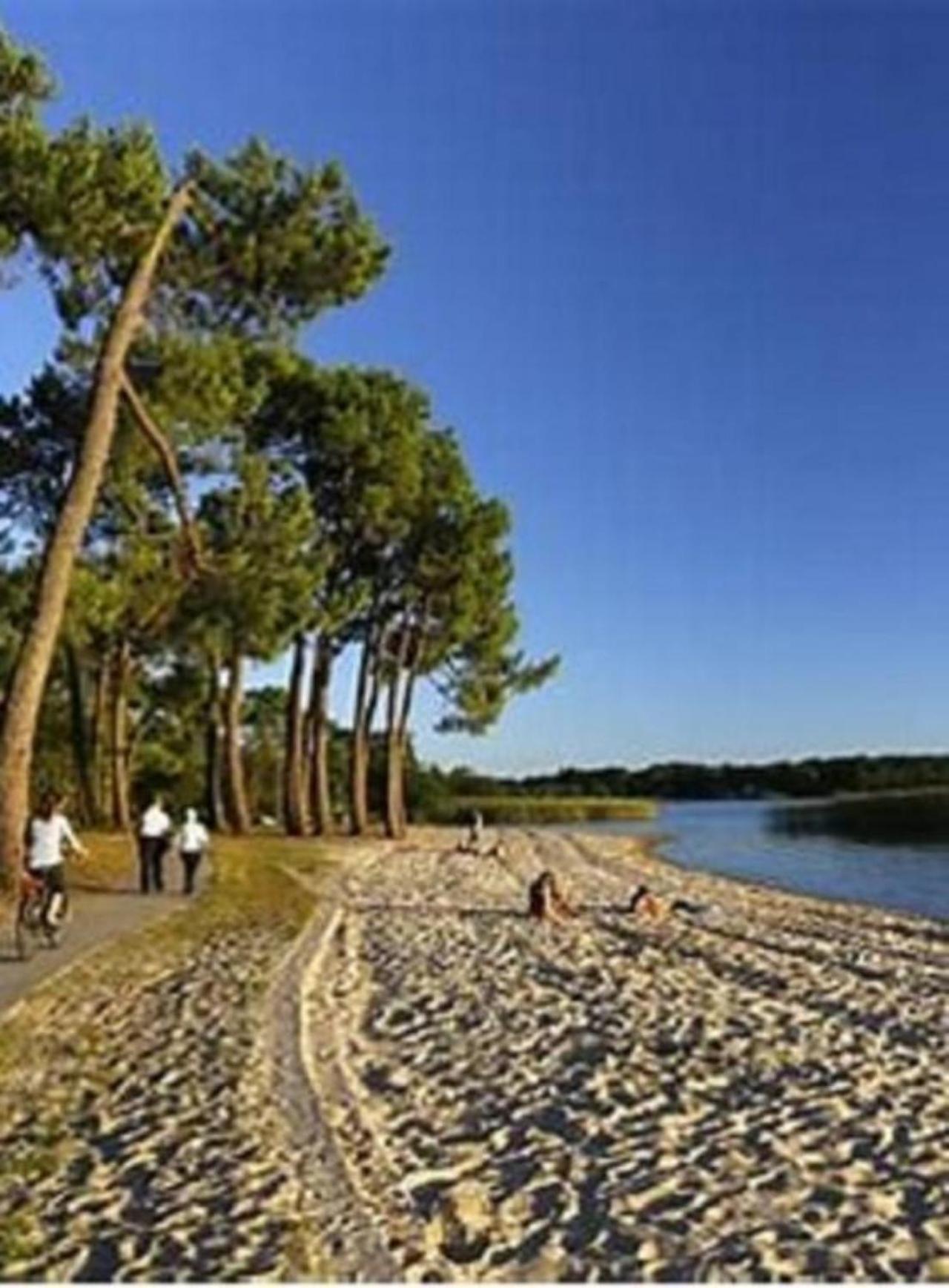 Agreable Maison A 400M Du Lac Villa Sanguinet Exteriör bild